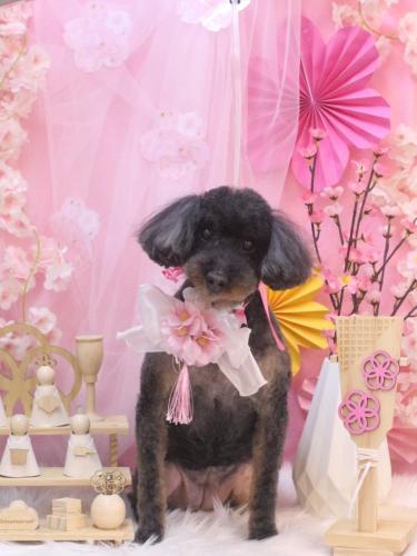 20250323ねねちゃん